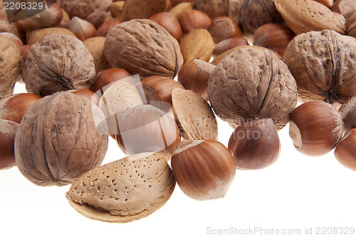 Image of Nuts