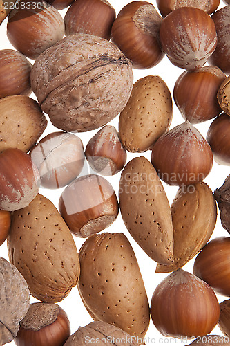 Image of Nuts