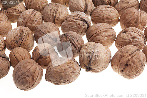 Image of Walnuts