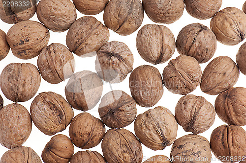 Image of Walnuts