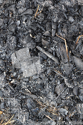 Image of charcoal. extinguished bonfire