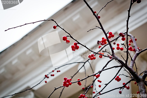 Image of red berries on a background of ancient architecture