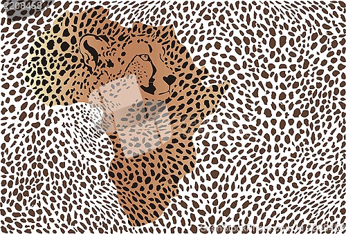 Image of Abstract background of the African cheetah