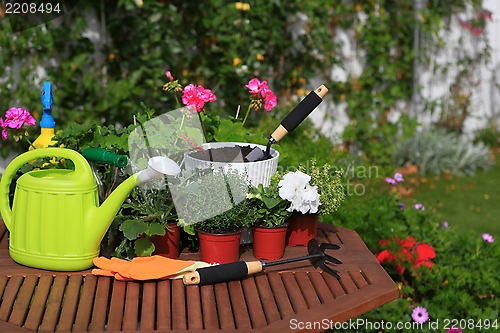 Image of planting flowers with garden tools ,various flowers and herbs in