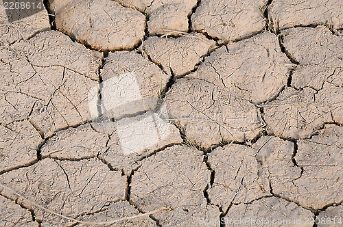 Image of Cracked Soil in Kazakhstan