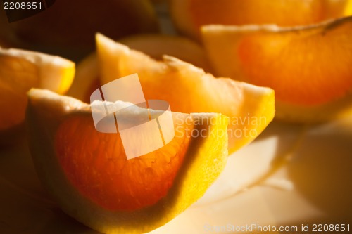 Image of Freshly harvested grapefruit on plate