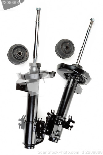 Image of Set of two shock absorber and pivot bearings