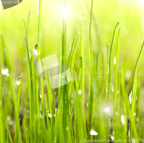 Image of drops