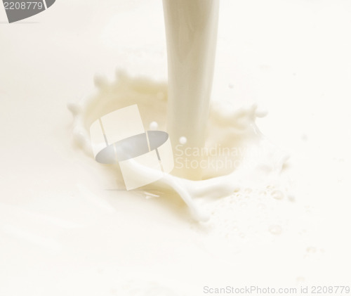 Image of milk splash