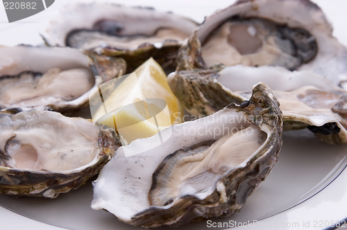 Image of Oysters and Lemon