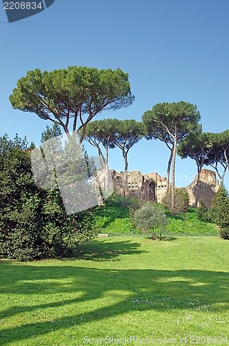 Image of Palatine Hill in Rome