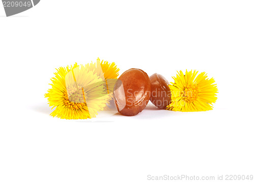 Image of Cough drops with coltsfoot flowers