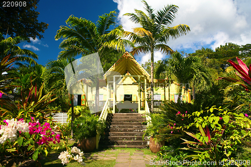 Image of st.kitts