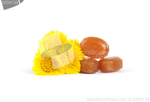 Image of Cough drops with coltsfoot flowers