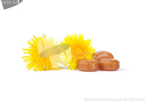 Image of Cough drops with dandelion flowers