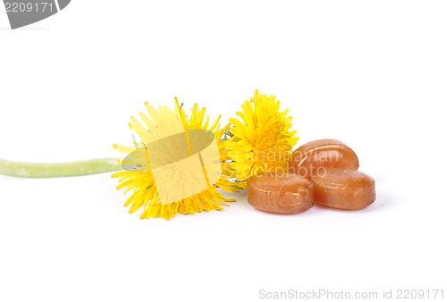 Image of Cough drops with dandelion flowers