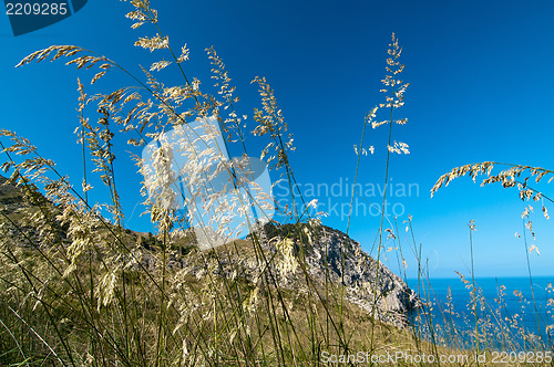 Image of Mountains and blue sea