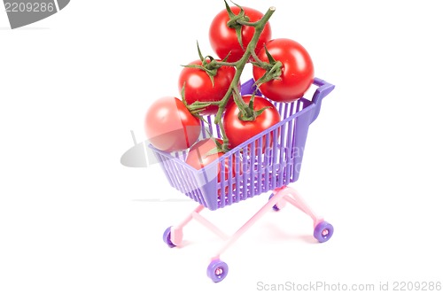 Image of Conceptual photo with miniature shopping-cart
