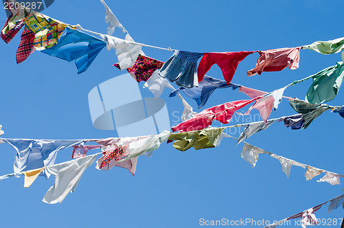 Image of A group of colored shirts on a clothesline