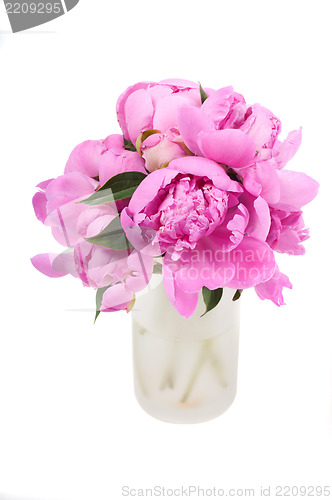 Image of Pink peony
