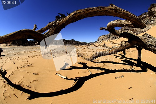 Image of Jebel Uwaynat