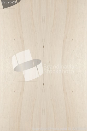 Image of Wood Texture Background