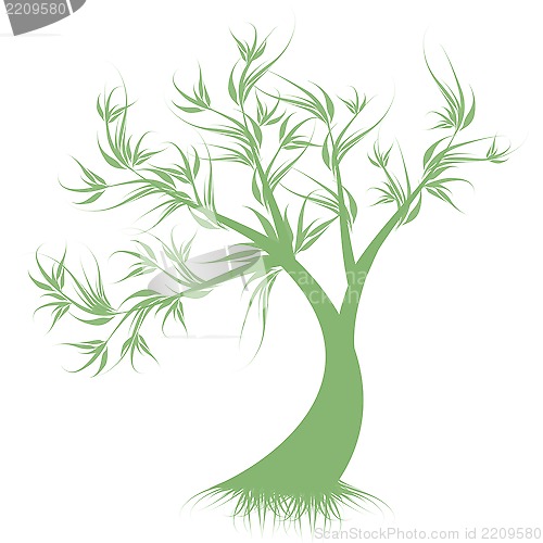 Image of Art Tree Silhouette 