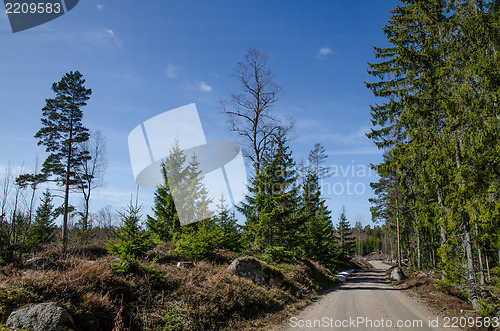 Image of Dirt road in a nordic forest