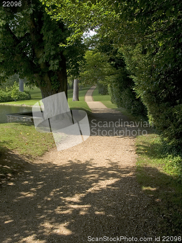 Image of Woodland walk