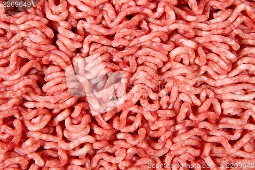 Image of fresh raw minced meat for hamburgers