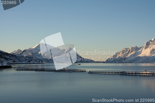 Image of Wintry scenery and a fish farm