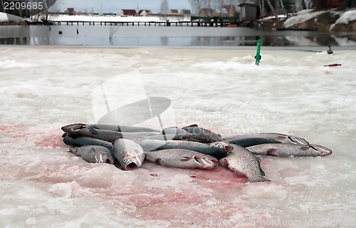 Image of Winter fishing.