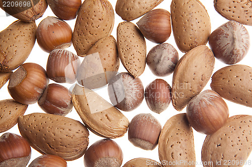 Image of Nuts