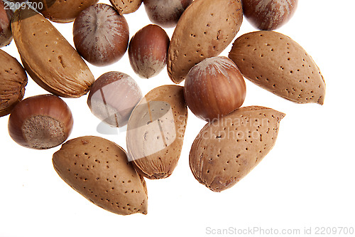 Image of Nuts