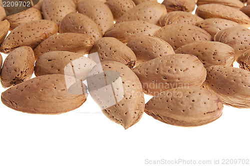 Image of Almonds