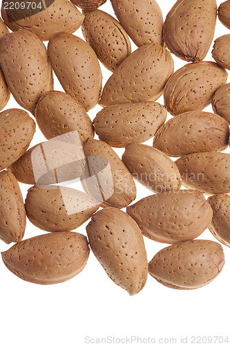 Image of Almonds