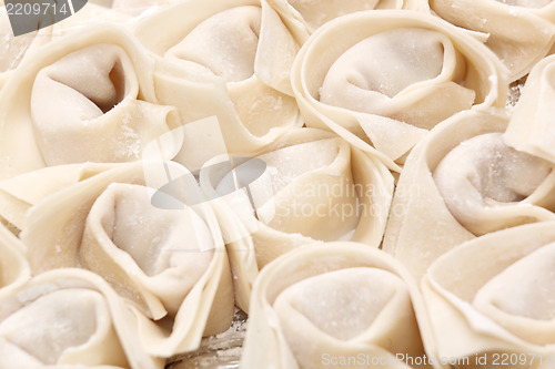 Image of Raw dumplings