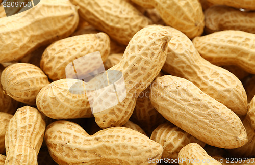 Image of peanut