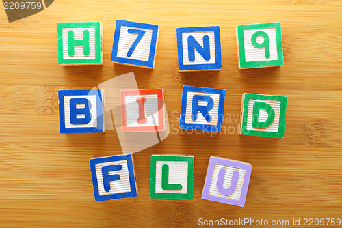 Image of H7N9 bird flu toy block