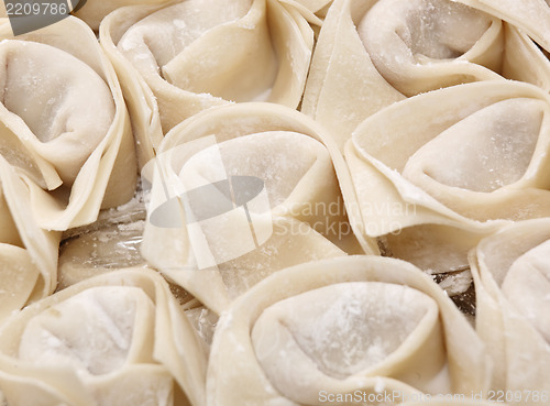 Image of homemade meat dumpling