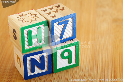 Image of H7N9 toy block