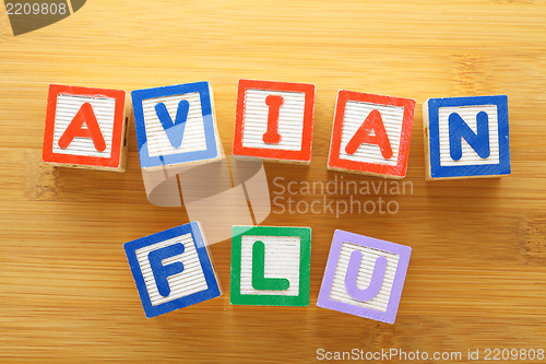 Image of Avian flu toy block