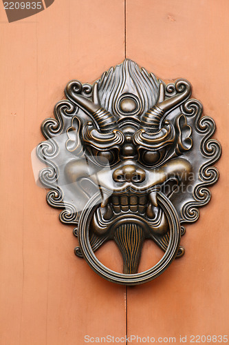 Image of lion door lock