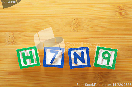 Image of H7N9 toy block