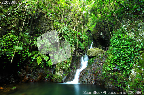 Image of waterfall in forest