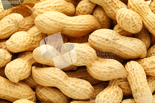 Image of peanut