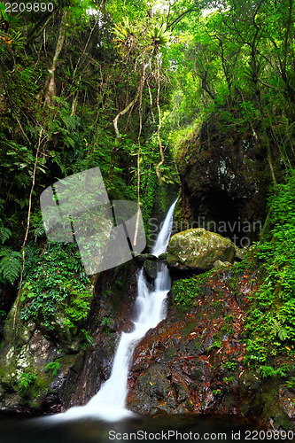 Image of waterfall in forest