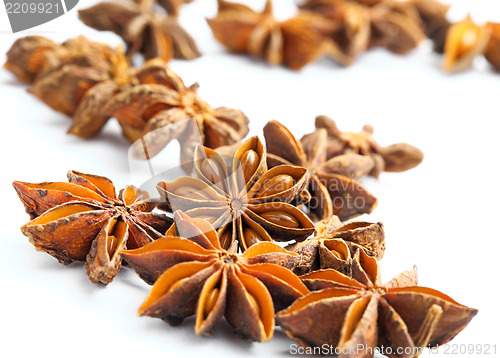 Image of Stars anise