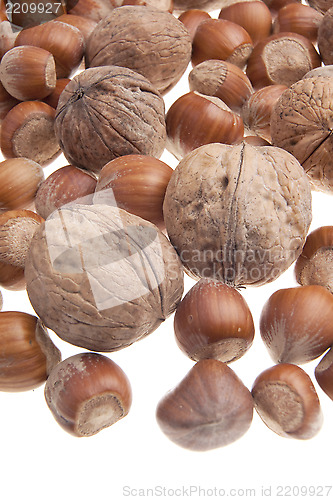 Image of Nuts