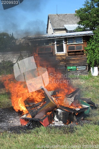 Image of epidemy in the bee farming - destroying beehives